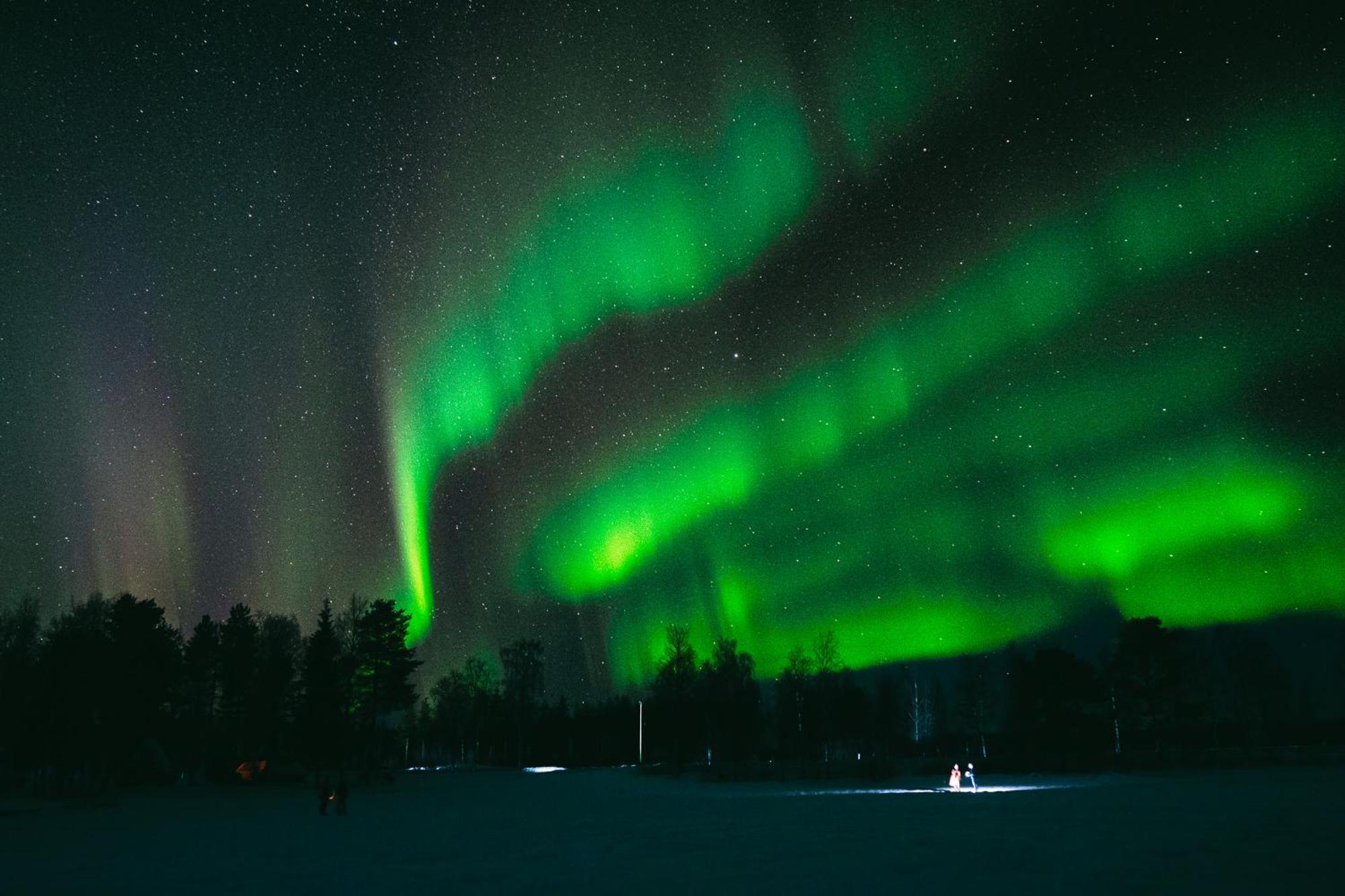 Arctic Downtown Dream: Cozy City Studio Rovaniemi Eksteriør billede